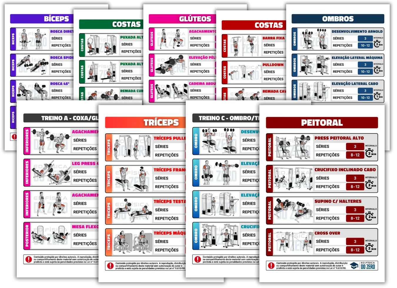 Fichas de treino organizadas por grupos musculares